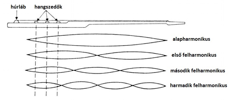 st20