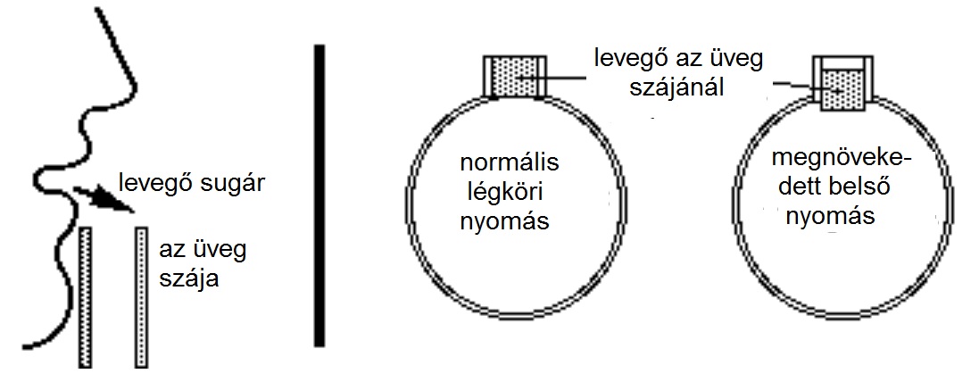 zny05