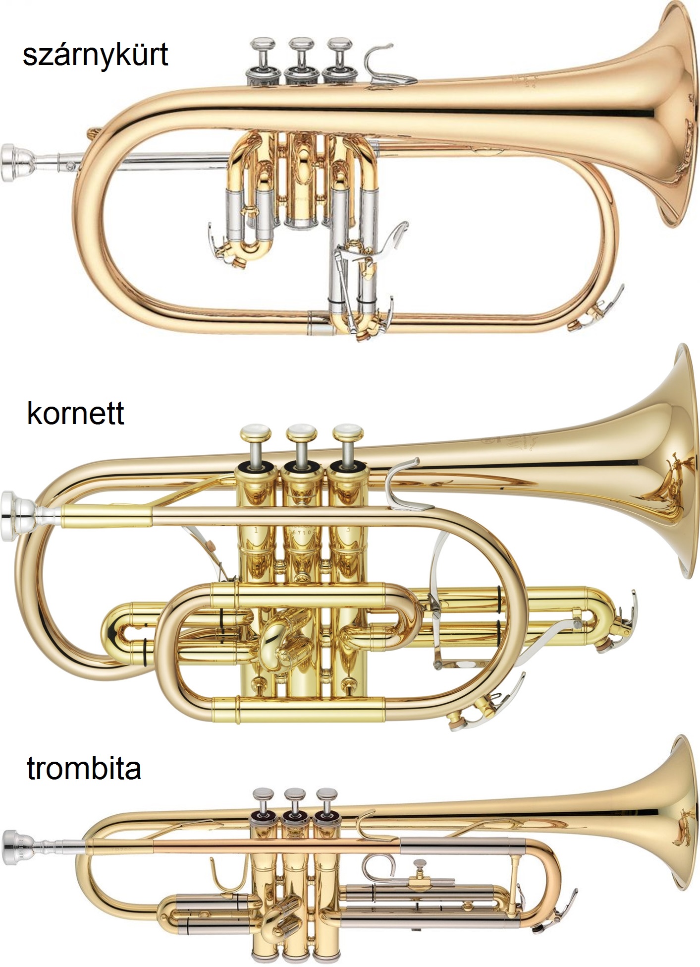 ttt02