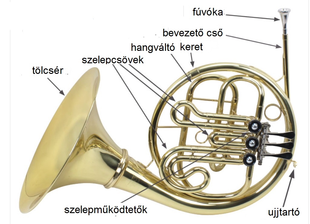 vlk02
