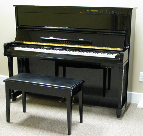 msz10