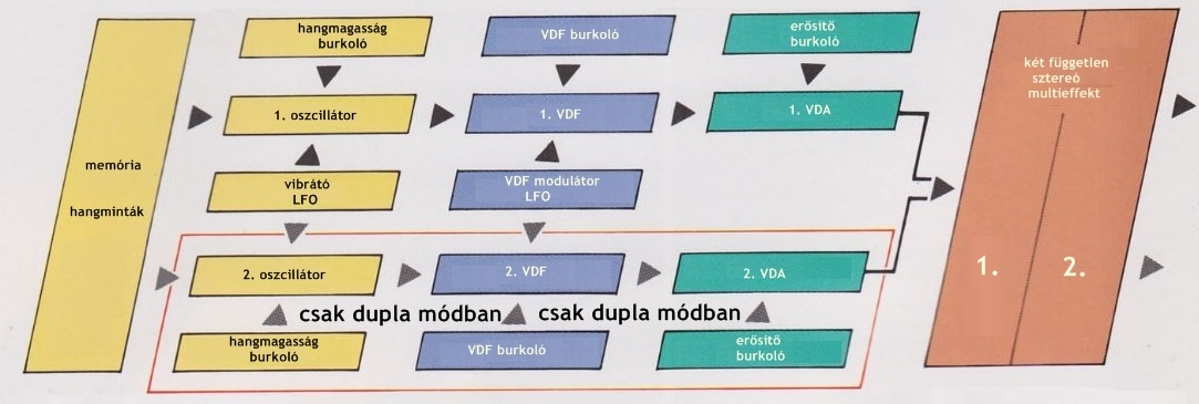 mkg19
