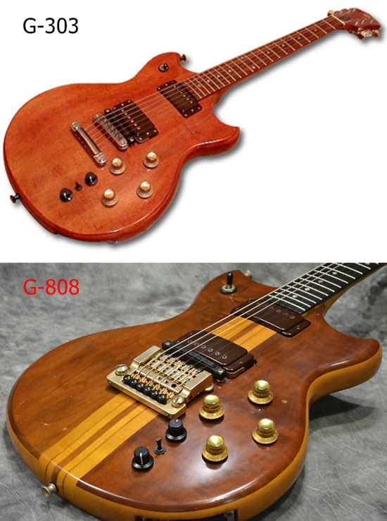 gty13