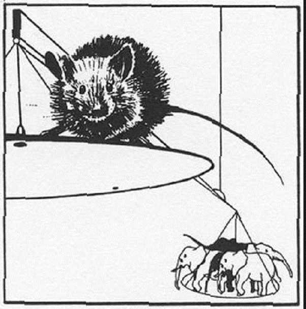 vb03