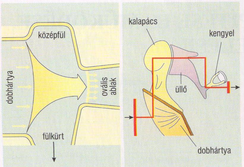 km11