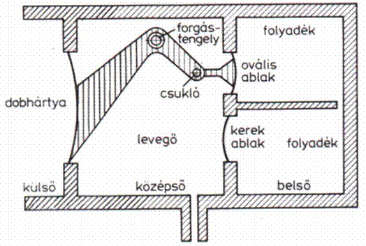 cb04