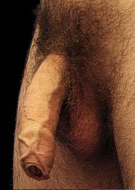 vs04