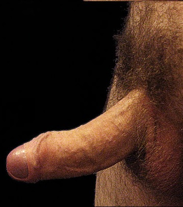 vs06