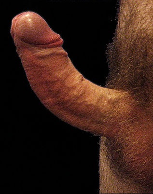 vs08