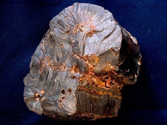 mbm10