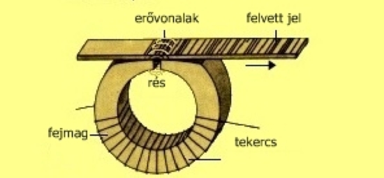 afv23