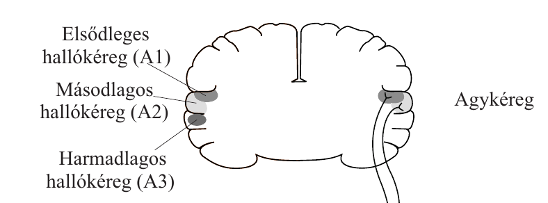 kr10