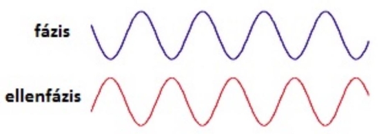 fhn10