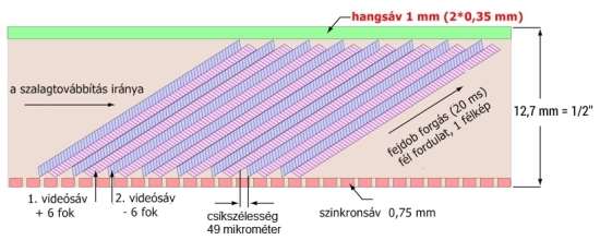 hfo06