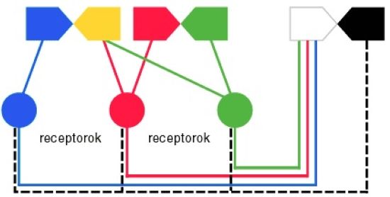 psk08