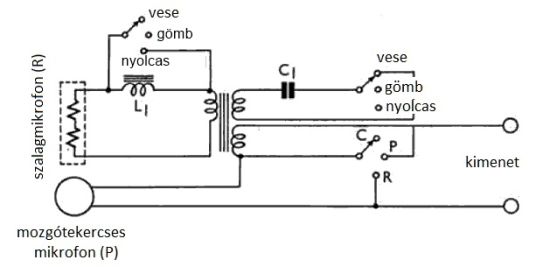 ech23