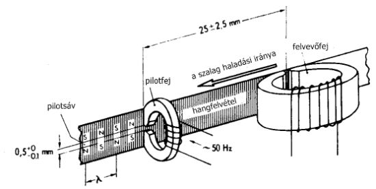 ech30