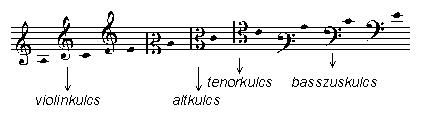 ml08