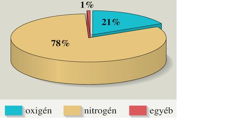 torta diagram