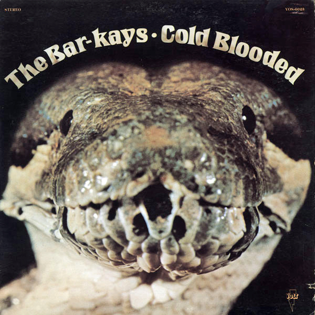 bar kays coldblooded